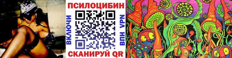 Галлюциногенные грибы GOLDEN TEACHER Купить где Тайга